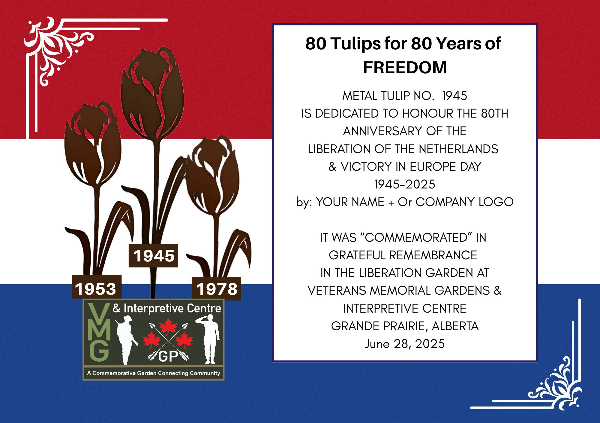 80 Tulips: Marking 80 Years of Freedom (1945-2025)