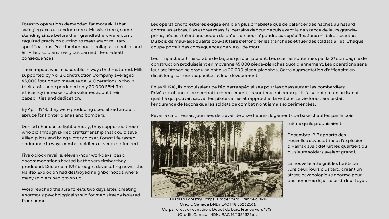 Forestry Operations