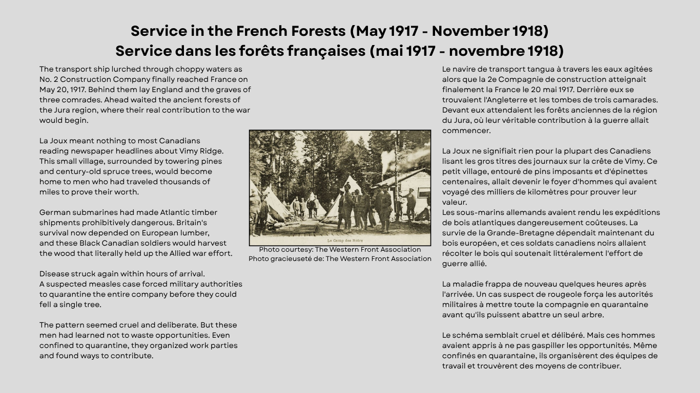 French Forests